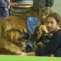 Salzburg Clubschau Mai 06 117 